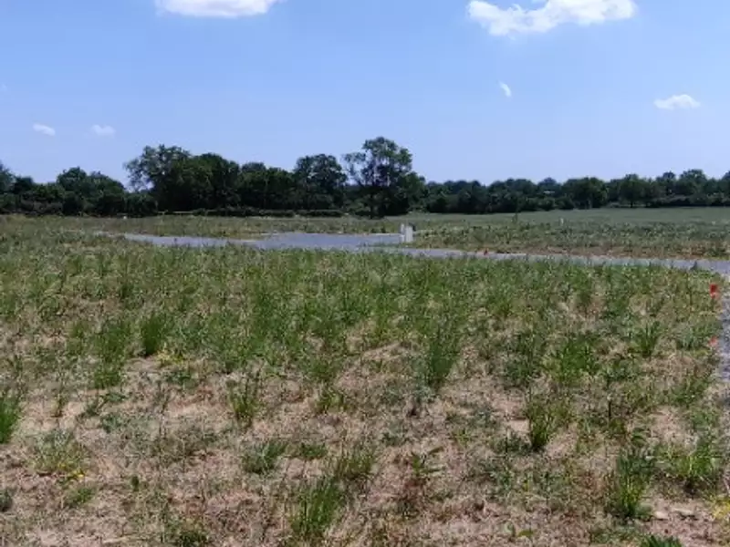 Terrain à bâtir, 467 m² - Jarzé Villages (49140)