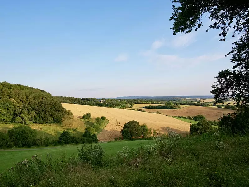 Terrain à bâtir, 1 816 m² - La Selle-sur-le-Bied (45210)