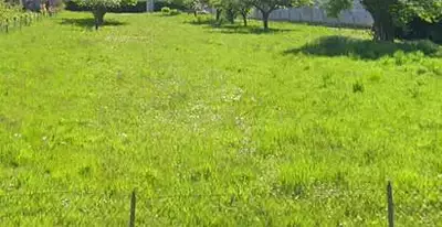 Maison neuve, 66 m²