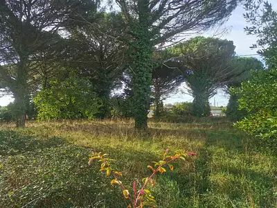 Maison neuve, 80 m²