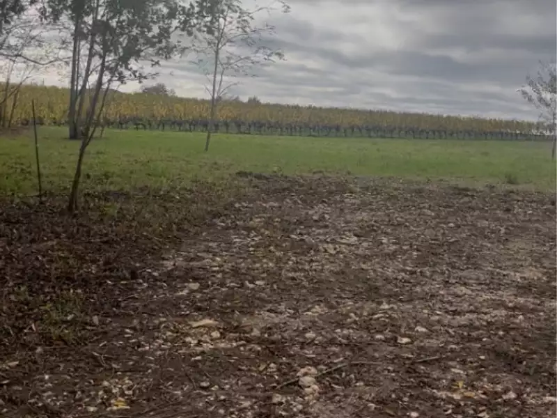 Terrain à bâtir, 5 000 m² - Créon (33670)