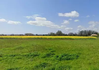 Maison neuve, 50 m²