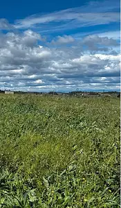 Terrain à bâtir, 610 m²