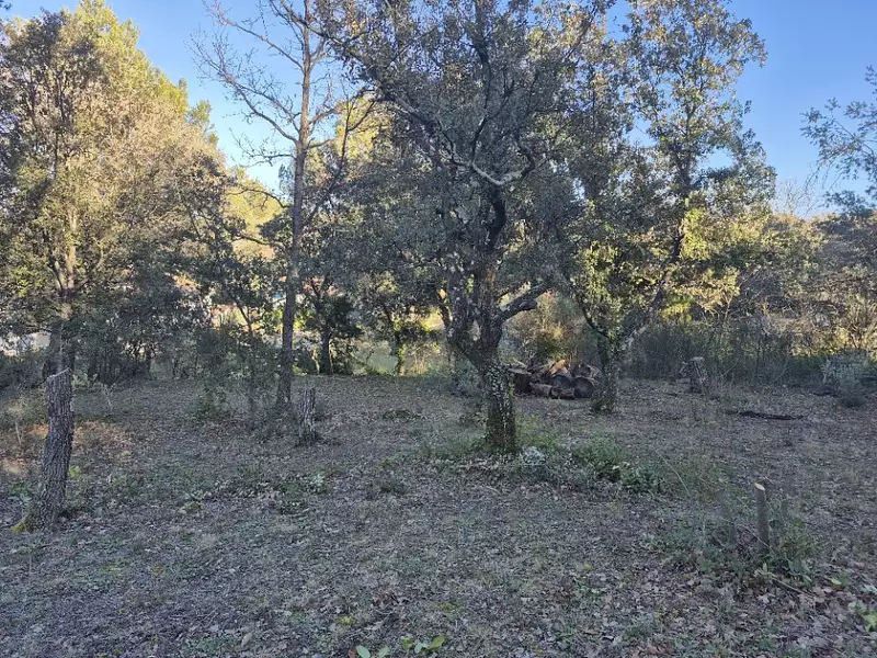 Terrain à bâtir, 2 150 m² - Saint-Maximin-la-Sainte-Baume (83470)