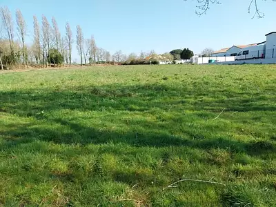 Maison neuve, 85 m²