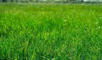 Maison neuve, 89 m²