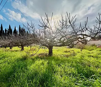 Maison neuve, 128 m²