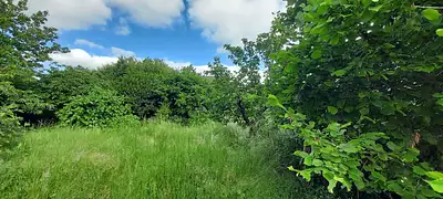 Terrain à bâtir, 209 m²