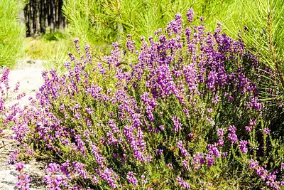 Maison neuve, 90 m²