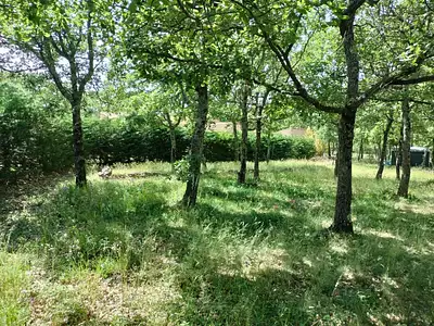 Terrain à bâtir, 1 183 m²