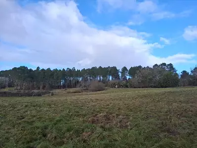 Terrain à bâtir, 2 000 m²