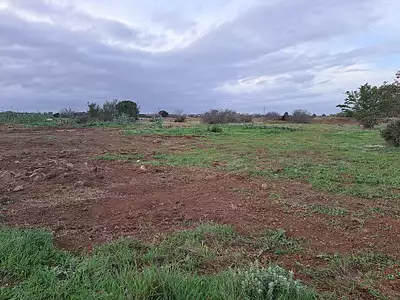 Maison neuve, 112 m²