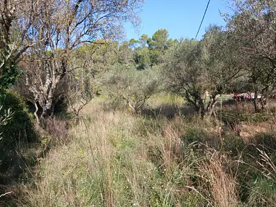Terrain à bâtir, 1 113 m²