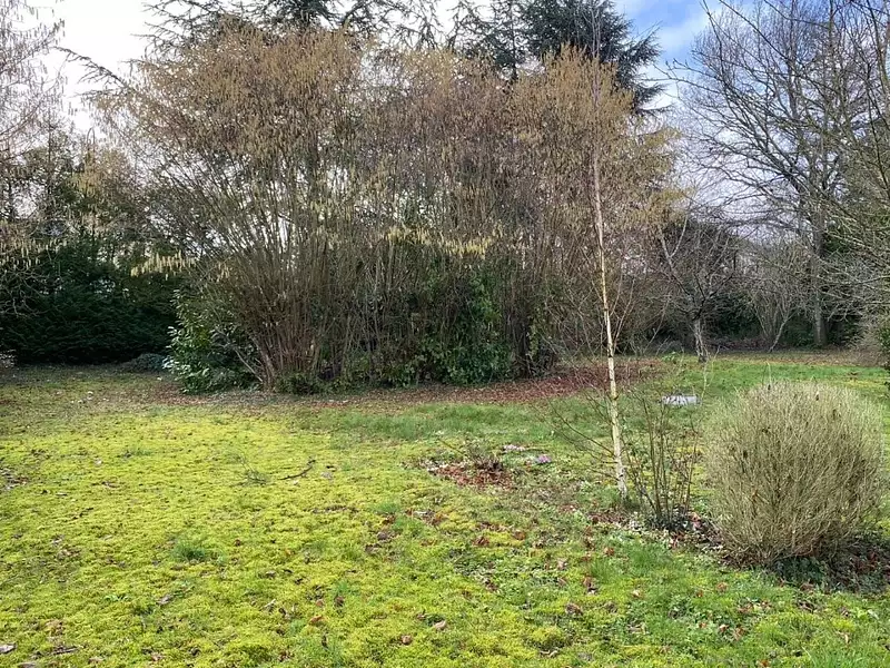 Maison neuve, 100 m² - Thoiry (78770)