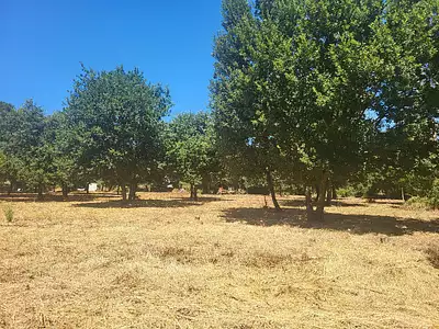 Terrain à bâtir, 540 m²