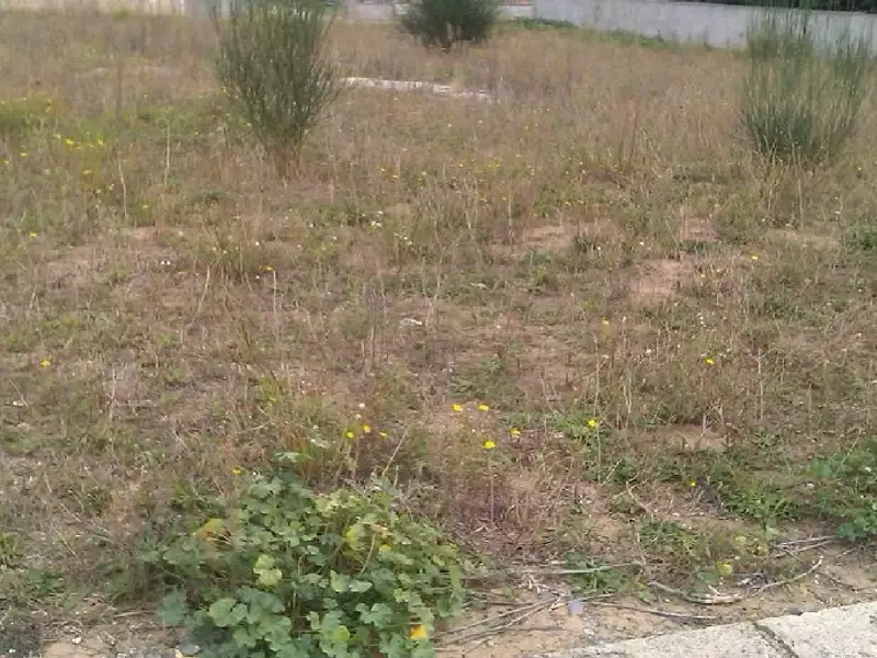 Terrain à bâtir, 660 m² - Aigues-Vives (11800)