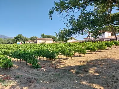 Terrain à bâtir, 544 m²