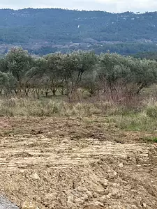 Terrain à bâtir, 334 m²