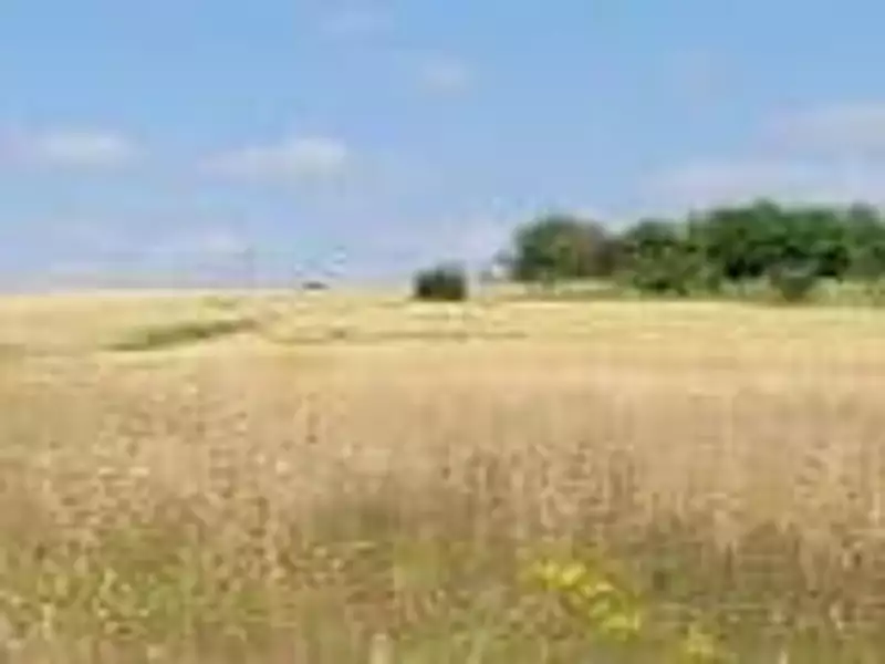 Maison neuve, 89 m² - Rigny (70100)