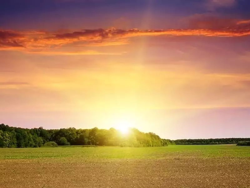 Terrain à bâtir, 1 000 m² - Baugy (18800)