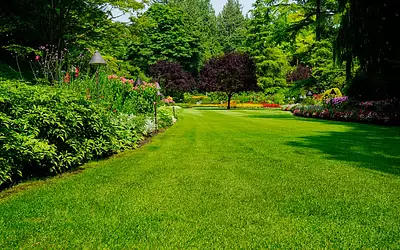 Terrain à bâtir, 295 m²