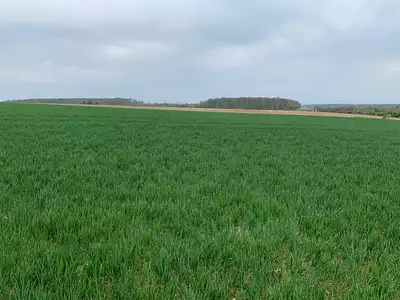 Maison neuve, 110 m²