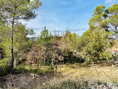 Maison neuve, 125 m²