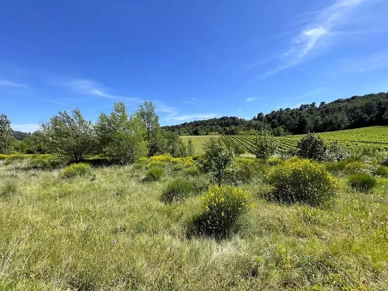 Maison neuve, 75 m² - Villeneuve-Minervois (11160)