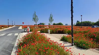 Terrain à bâtir, 266 m²