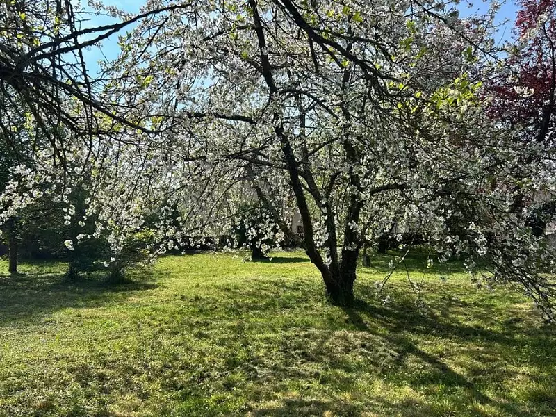 Terrain à bâtir, 474 m² - Gazeran (78125)