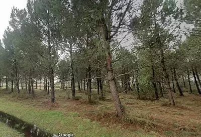 Maison neuve, 78 m²