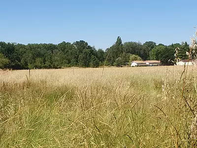 Terrain à bâtir, 600 m²