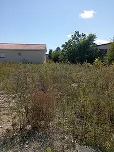 Maison neuve, 70 m²