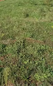 Terrain à bâtir, 689 m²