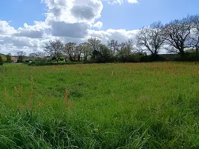 Terrain à bâtir, 800 m²