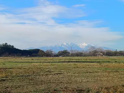 Maison neuve, 100 m²