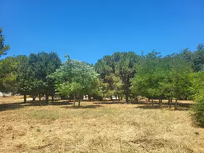 Maison neuve, 98 m²