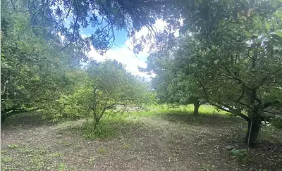 Maison neuve, 130 m²