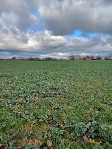 Maison neuve, 79 m²