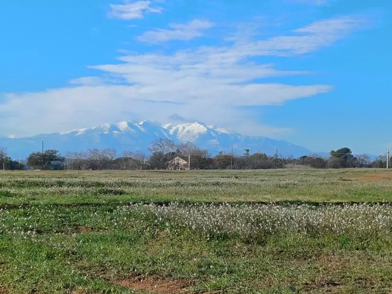 Terrain à bâtir, 570 m² - Villeneuve-de-la-Raho (66180)