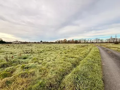 Terrain à bâtir, 1 250 m²