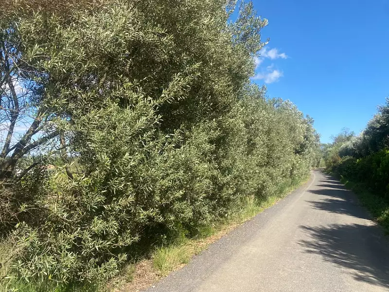 Maison neuve, 134 m² - Ginestas (11120)