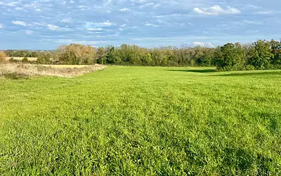 Maison neuve, 100 m²