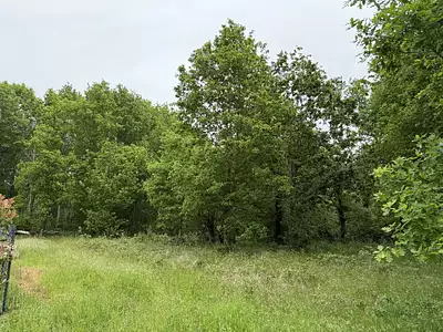 Terrain à bâtir, 1 292 m²