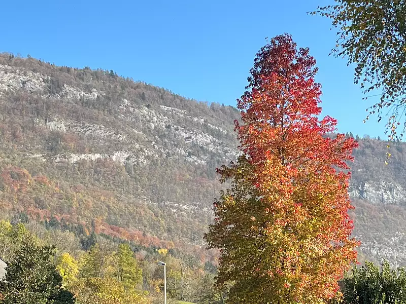 Terrain à bâtir - Nâves-Parmelan (74370)