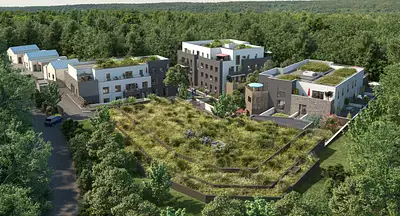 LA VALLÉE DES TILLEULS