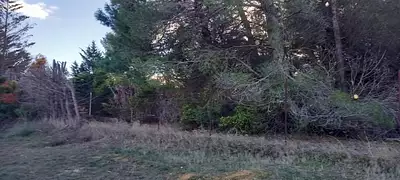 Terrain à bâtir, 722 m²