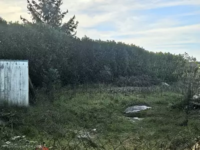 Maison neuve, 100 m²