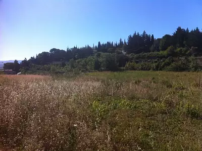 Terrain à bâtir, 2 341 m²