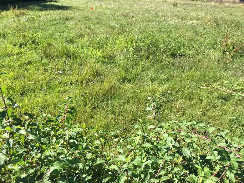 Terrain à bâtir, 316 m² - Servas (01960)